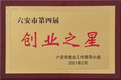 六安市第四屆創(chuàng)業(yè)之星